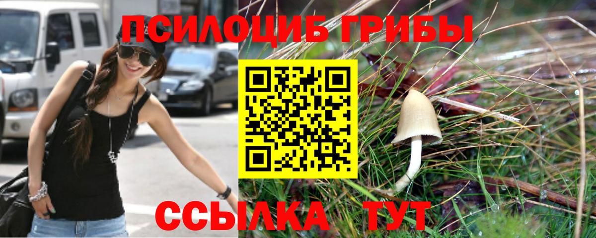 Галлюциногенные грибы GOLDEN TEACHER Саянск