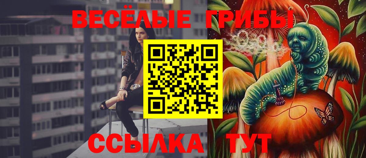 Галлюциногенные грибы GOLDEN TEACHER  Вход с VPN  Псилоцибиновые грибы MAGIC MUSHROOMS  Саянск 